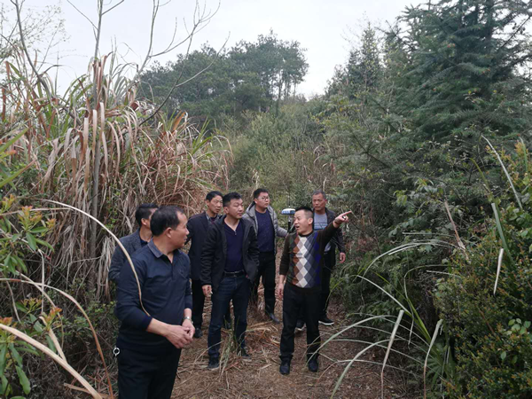 1597792642427391.png 1.png